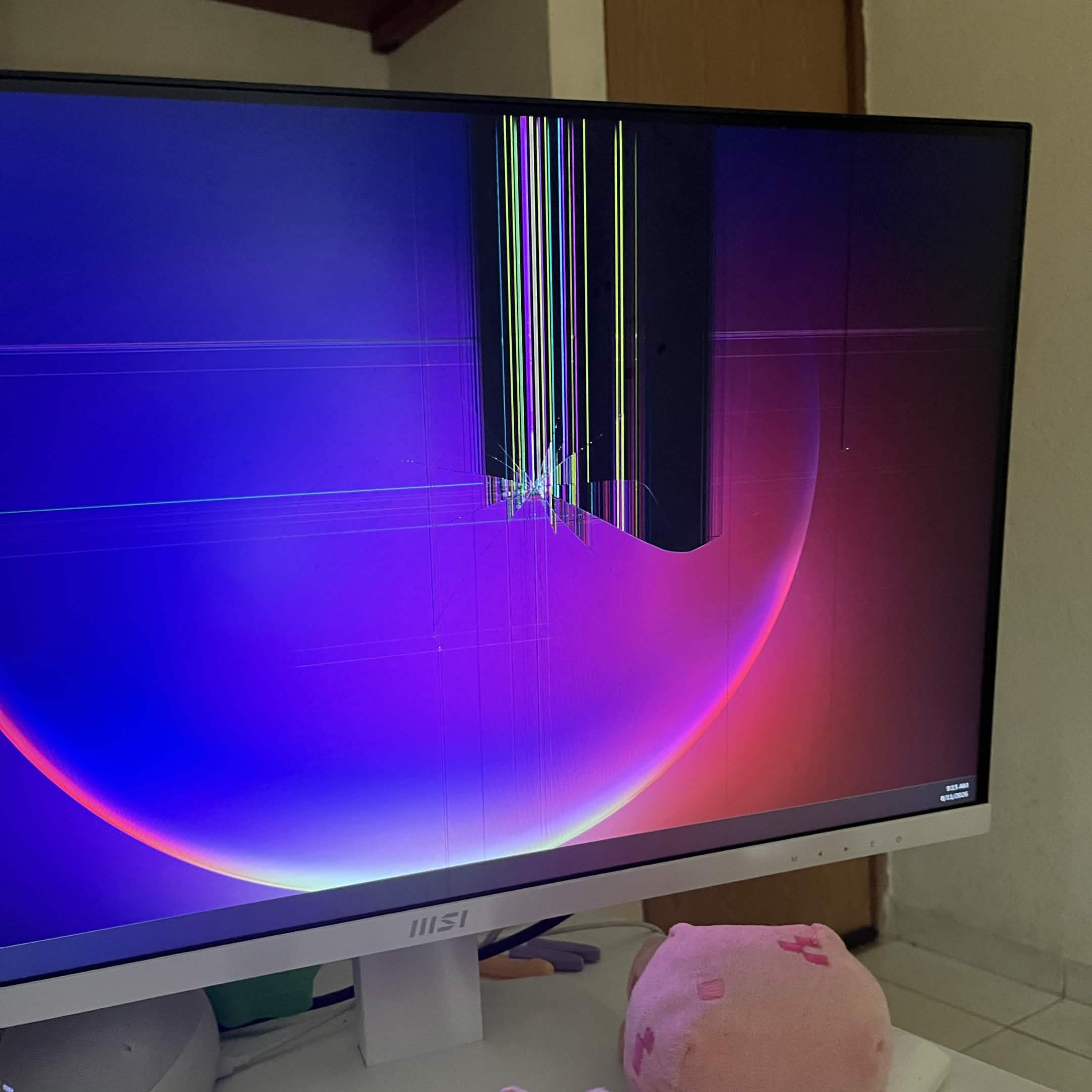 Monitor Roto de Renna
